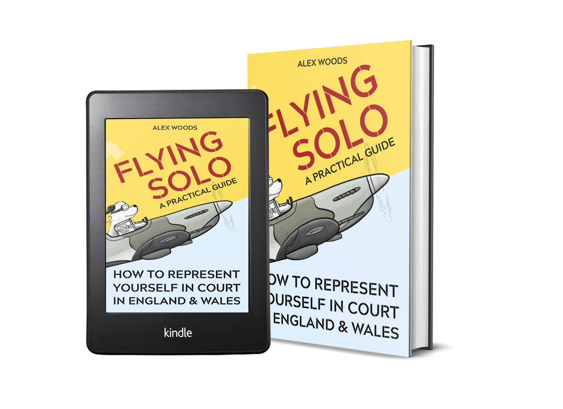 Flying Solo book cover