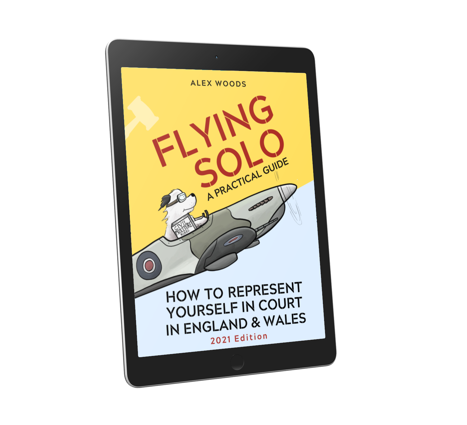 EBOOK “Flying Solo: How to Represent Yourself in Court”(PDF)