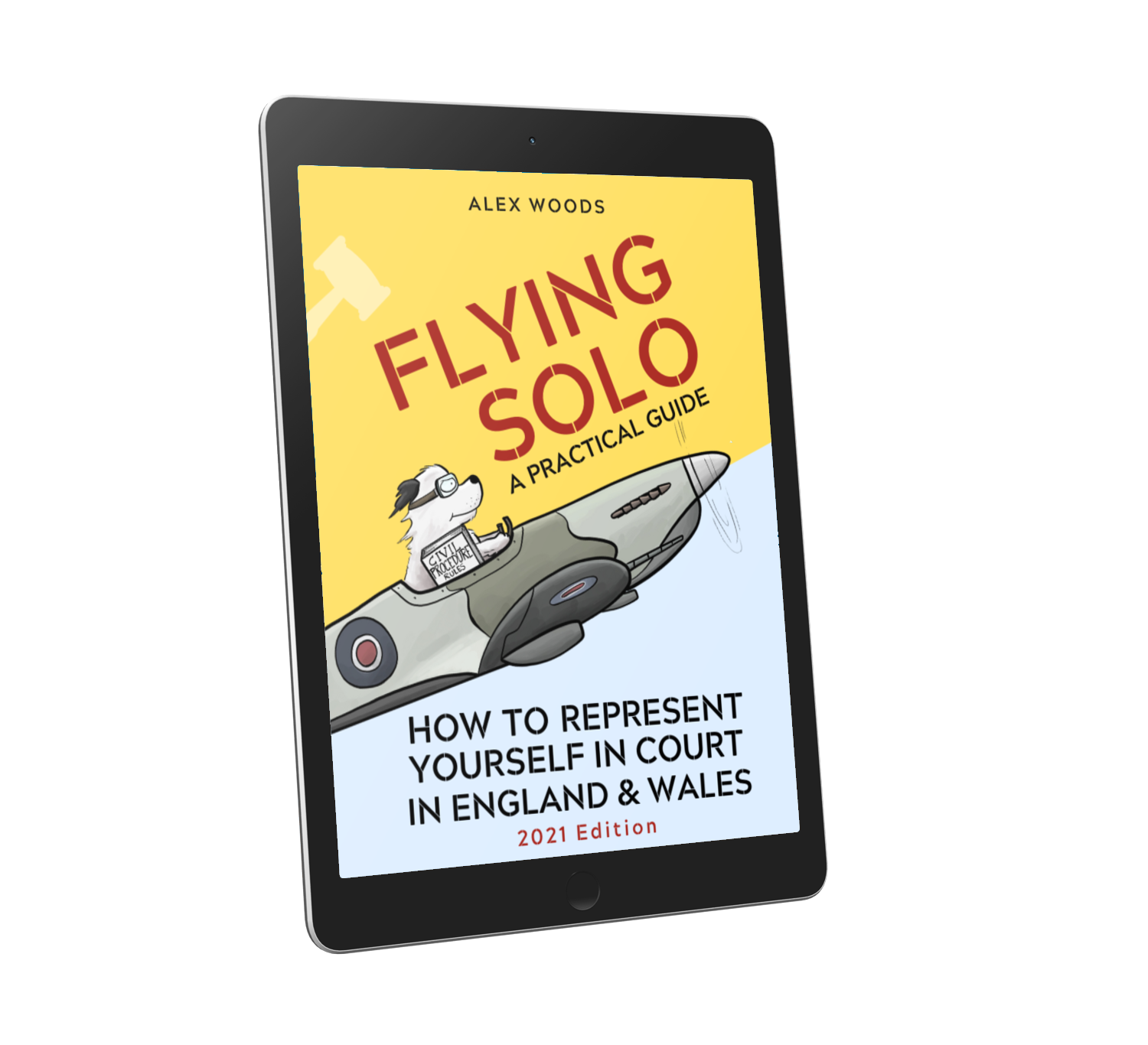 ebook-flying-solo-how-to-represent-yourself-in-court-pdf-court